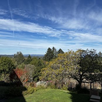 Halleck Vineyard - View - Wine Tasting Room Near Me - Sebastopol, California Halleck Vineyard - View - Wine Tasting Room Near Me - Sebastopol, California