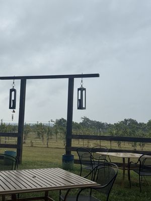 Solaro Estate Winery by null