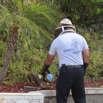 Oc Bee Guy - Pest Control Near Me - Anaheim, California Oc Bee Guy - Pest Control Near Me - Anaheim, California
