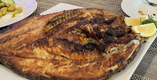 AKKAD Mediterranean & Iraqi Grill by null
