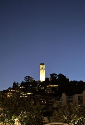 Coit Tower by null