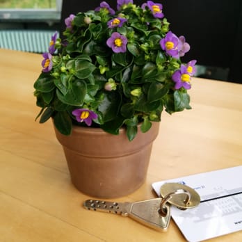 Hotel Odelya - Wee table deco at breakfast. - Hotels Near Me - Basel, BS