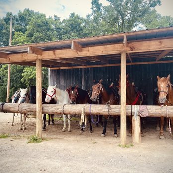 Uncle Buck's Public Riding Stables And Dance Barn - horses lined up in a row - Music Venues Near Me - New Marshfield, Ohio Uncle Buck's Public Riding Stables And Dance Barn - horses lined up in a row - Music Venues Near Me - New Marshfield, Ohio