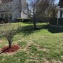 Photo of KD Lawn and Landscaping Services