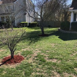KD Lawn and Landscaping Services - Mulch 2 trees