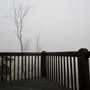 Photo of Scenic Wolf Resort