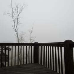 Scenic Wolf Resort - Foggy view from cabin balcony.
