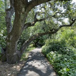 Mills College