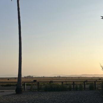 Napanet Internet Services - Out in carneros - Internet Service Providers Near Me - Napa, California Napanet Internet Services - Out in carneros - Internet Service Providers Near Me - Napa, California