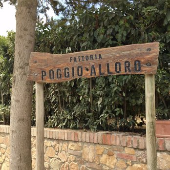 Fun In Tuscany - First winery - Bike tours Near Me - Florence, FI