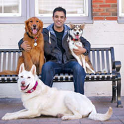 The Tailgait Market - Do you need travel products for your pets? The Tailgait Market will deliver everything from food and supplements to treats, c...