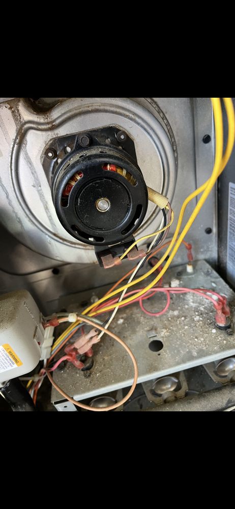 Slide of Re Juv A Nation