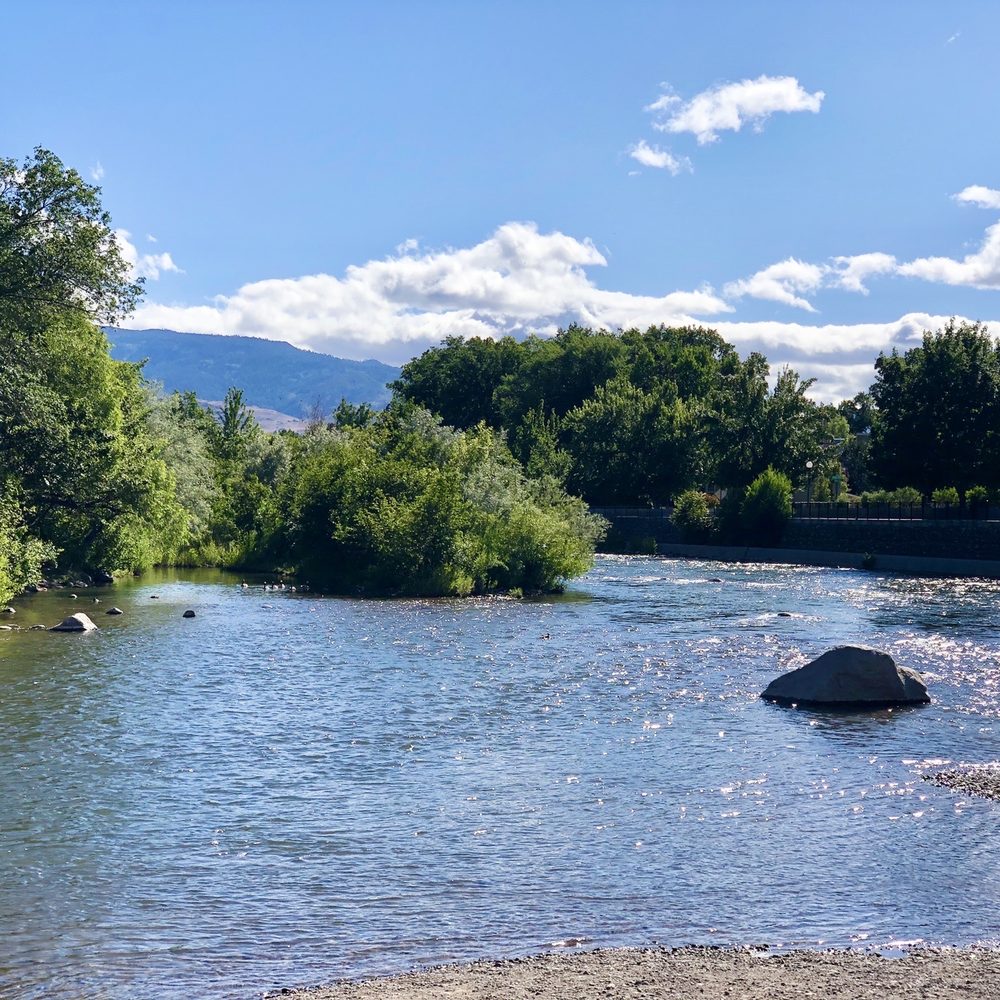 Wingfield Park - 06/13/2020: Beautiful day! - Parks Near Me - Reno, Nevada Wingfield Park - 06/13/2020: Beautiful day! - Parks Near Me - Reno, Nevada