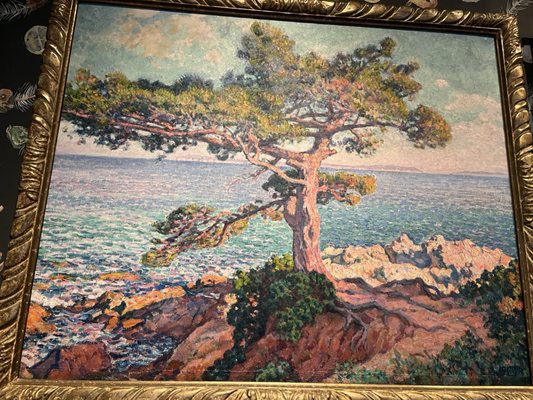 Centraal Museum by null