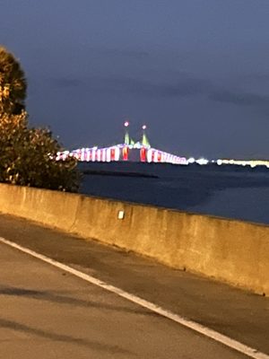 Sunshine Skyway Bridge by null