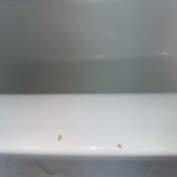 Studio City Court Yard Hotel - More burns on the tub. Gross. Dirty. - Hotels Near Me - Studio City, California Studio City Court Yard Hotel - More burns on the tub. Gross. Dirty. - Hotels Near Me - Studio City, California