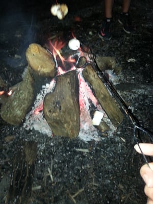 YMCA Camp Greenville by null