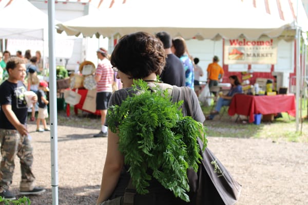Lafayette Farmers and Artisan Market at the Horse Farm by null