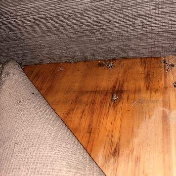 RV Washington Consignment Specialists - Water damage where they claim they replaced slide file an resealed - RV Dealers Near Me - Burlington, Washington RV Washington Consignment Specialists - Water damage where they claim they replaced slide file an resealed - RV Dealers Near Me - Burlington, Washington