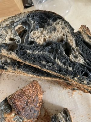 Oat Bakery - Goleta by null