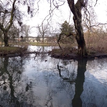 Queens Park - Duck pond - Parks Near Me - Glasgow, GLG Queens Park - Duck pond - Parks Near Me - Glasgow, GLG