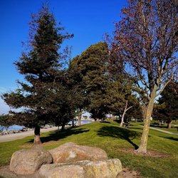 Marina Park