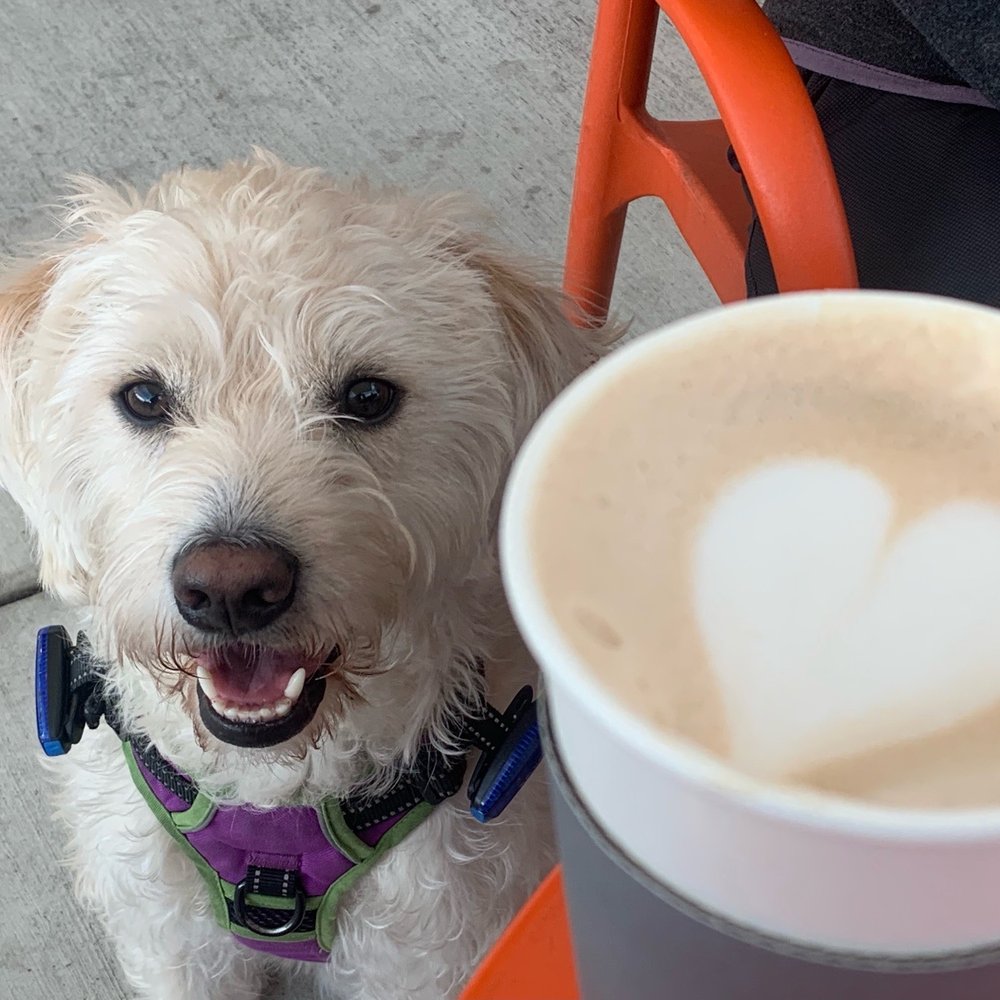 Slow Bloom Coffee - Outdoor seating with a hot chai - Coffee & Tea Near Me - Redlands, California Slow Bloom Coffee - Outdoor seating with a hot chai - Coffee & Tea Near Me - Redlands, California