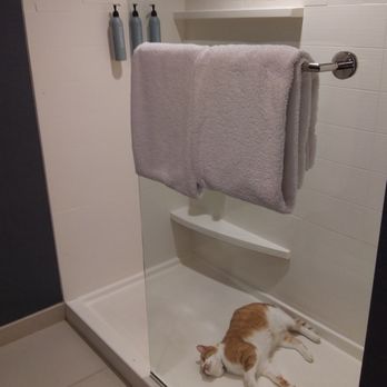 Residence Inn by Marriott Lancaster - More kitty love in the step-in shower - Hotels Near Me - Lancaster, Pennsylvania