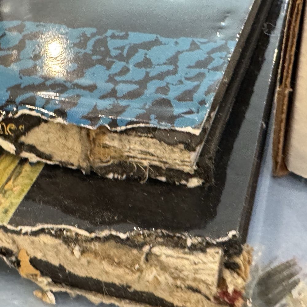 StorQuest Self Storage - Torn books - Self Storage Near Me - San Jose, California StorQuest Self Storage - Torn books - Self Storage Near Me - San Jose, California