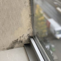Mold on left side of window.