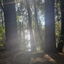Dark Day Camp Ground