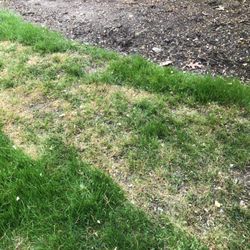 Greenturf - GreenTurf damaged my lawn due to a new young applicator who they seem to go through constantly.