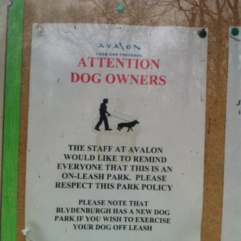 Avalon Nature Preserve - On-leash policy - Parks Near Me - Stony Brook, New York