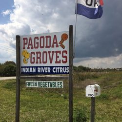 Pagoda Groves