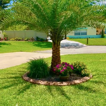 Palm House - Nurseries & Gardening Near Me - Malabar, Florida