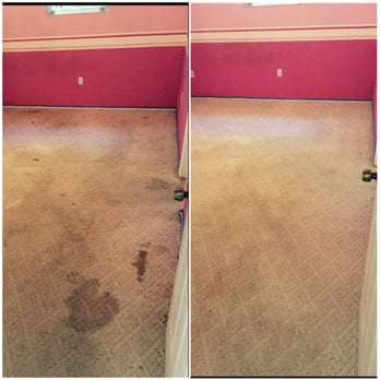 Coastal Carpet Systems - Carpet Cleaning Near Me Coastal Carpet Systems - Carpet Cleaning Near Me