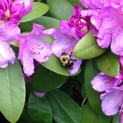 Resilience Massage - Natural beauty.