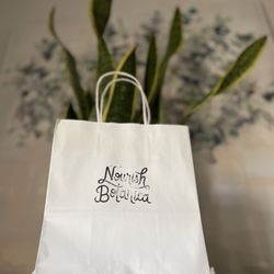 Nourish Botanica - Snake plant