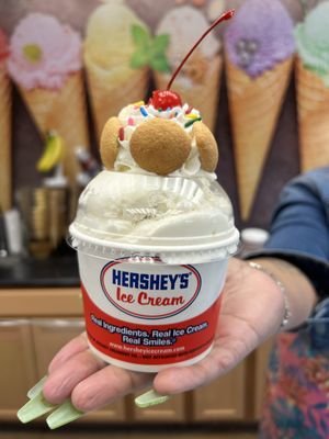 Ice Cream Laboratory 777