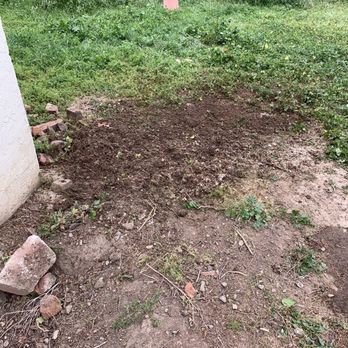 Cal Tree Care - Yucca tree stump removed. I didn't get to take a before picture. - Tree Services Near Me