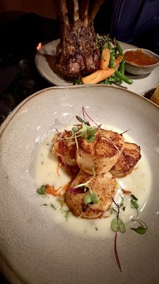 Amber Lantern Restaurant by null