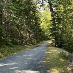 Carriage roads in Acadia NP where we ride the bikes.