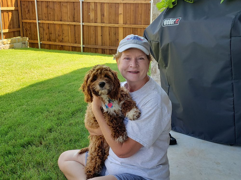 TOP DOG PET SITTERS Updated July 2024 18 Photos & 11 Reviews 550 N Central Expy, McKinney