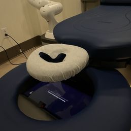 Longevity Lab - Arm and headrest. Touch screen controls. - Health Coach Near Me - Pittsburgh, Pennsylvania