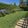Photo of Hector Lopez Garden Service