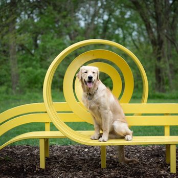 Newfields - Bench near the "floating rings" - Parks Near Me - Indianapolis, Indiana