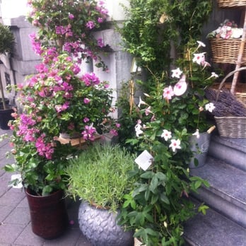 De Rozengaard - Florists Near Me - Maastricht, LI