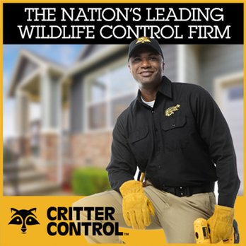 Critter Control - Pest Control Near Me Critter Control - Pest Control Near Me