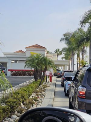 In-N-Out Burger by null