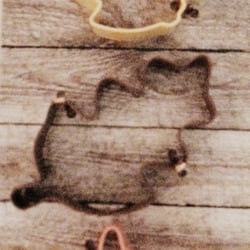 Rite Aid - Fall cookie cutters ($2)
